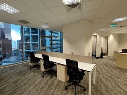 PLUS (D1), Office #537377101